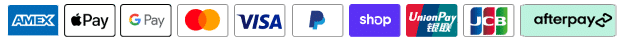 payment icon img 2